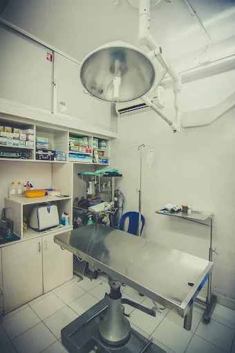 Precise Pet Clinic Veterinary Clinic in Jeevan Bima Nagar, Bengaluru — Facility Photo 5