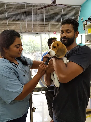 Precise Pet Clinic Veterinary Clinic in Jeevan Bima Nagar, Bengaluru — Facility Photo 7