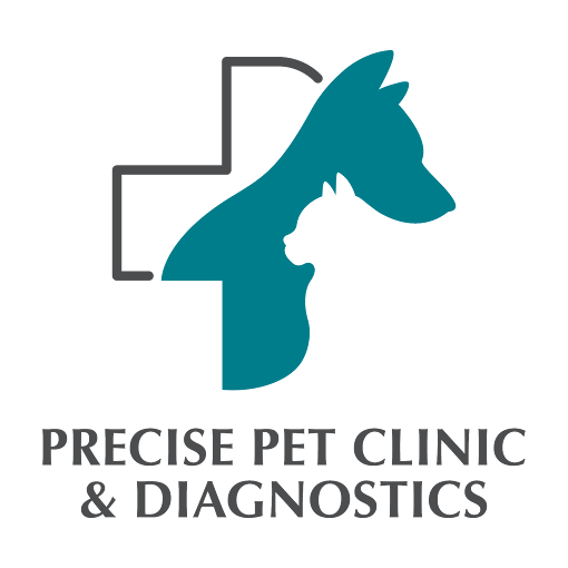 Precise Pet Clinic Veterinary Clinic in Jeevan Bima Nagar, Bengaluru — Facility Photo 9