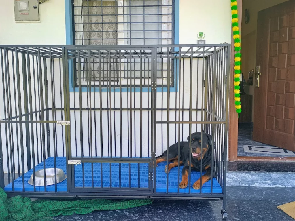 Pretty Paws Pet Clinic Veterinary Clinic in Chandra Layout, Bengaluru — Facility Photo 6
