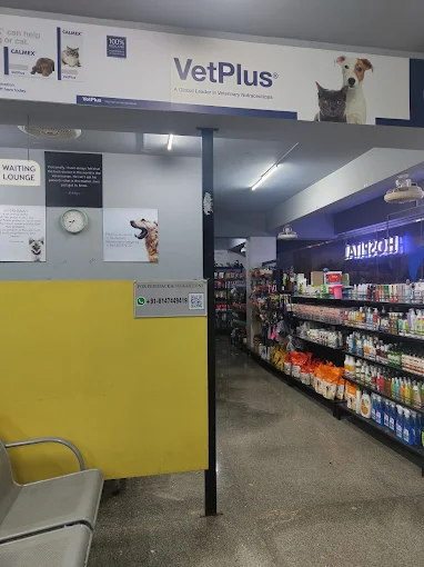 Renee Vet Hospital Veterinary Clinic in JP Nagar, Bengaluru — Facility Photo 6