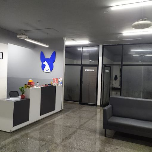 Renee Vet Hospital Veterinary Clinic in JP Nagar, Bengaluru — Facility Photo 10