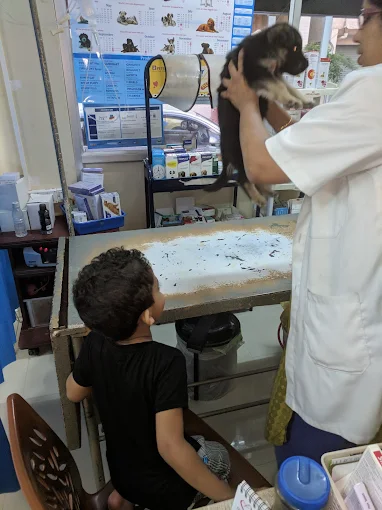 Dr Revathi’s Pet Clinic Veterinary Clinic in BTM Layout, Bengaluru — Facility Photo 4