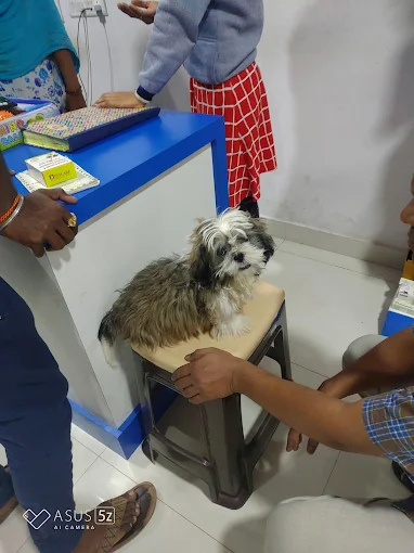 Shreedha Pet Hub & Pet Clinic Veterinary Clinic in Annapurneshwari Nagar, Bengaluru — Facility Photo 4