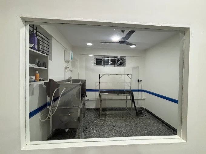 Silicon City Pet Hospital 24×7 Veterinary Clinic in RK Hegde Nagar, Bengaluru — Facility Photo 4
