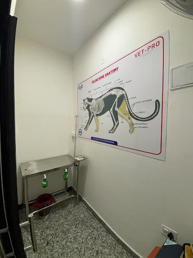 Silicon City Pet Hospital 24×7 Veterinary Clinic in RK Hegde Nagar, Bengaluru — Facility Photo 5