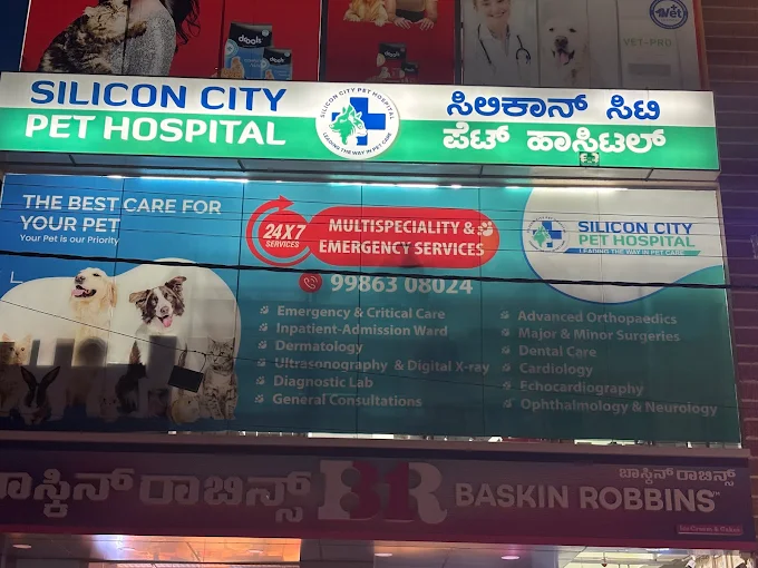 Silicon City Pet Hospital 24x7 - Pet Clinic in RK Hegde Nagar, Bengaluru