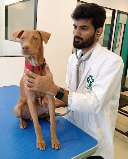 SKS Veterinary Hospital, Indiranagar Veterinary Clinic in Indiranagar, Bengaluru — Facility Photo 11