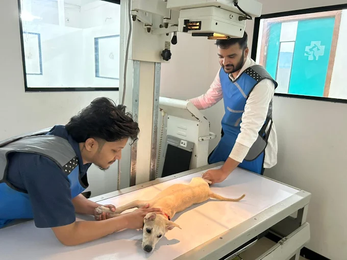 SKS Veterinary Hospital, Indiranagar Veterinary Clinic in Indiranagar, Bengaluru — Facility Photo 3