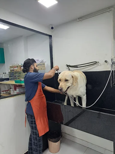 SKS Veterinary Hospital, Indiranagar Veterinary Clinic in Indiranagar, Bengaluru — Facility Photo 6