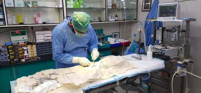 SKS Veterinary Hospital, Indiranagar Veterinary Clinic in Indiranagar, Bengaluru — Facility Photo 9