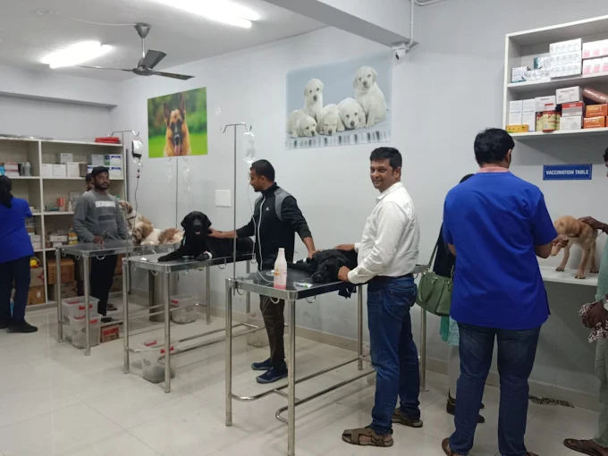 Swasthya Pet Clinic Veterinary Clinic in Banashankari, Bengaluru — Facility Photo 3