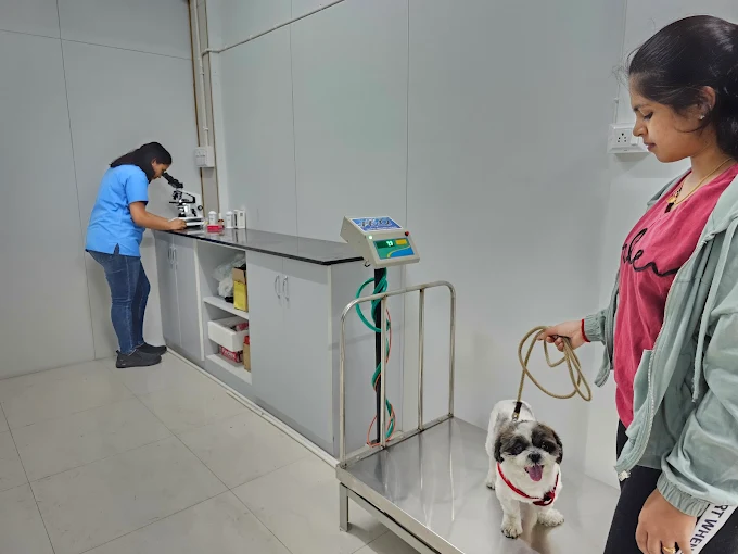 Swasthya Pet Clinic Veterinary Clinic in Banashankari, Bengaluru — Facility Photo 6