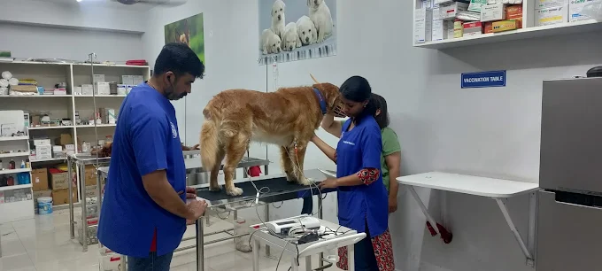 Swasthya Pet Clinic Veterinary Clinic in Banashankari, Bengaluru — Facility Photo 10