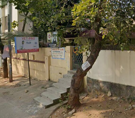 Habsiguda Pet Clinic - Pet Clinic in Habsiguda, Hyderabad