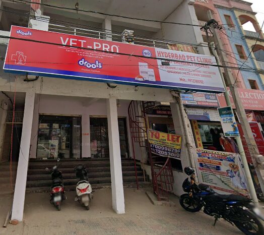 Hyderabad Pet Clinic Boduppal - Pet Clinic in Boduppal, Hyderabad