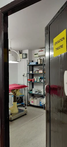 K9 & Kat-Pet Clinic Veterinary Clinic in Madhapur, Hyderabad — Facility Photo 5
