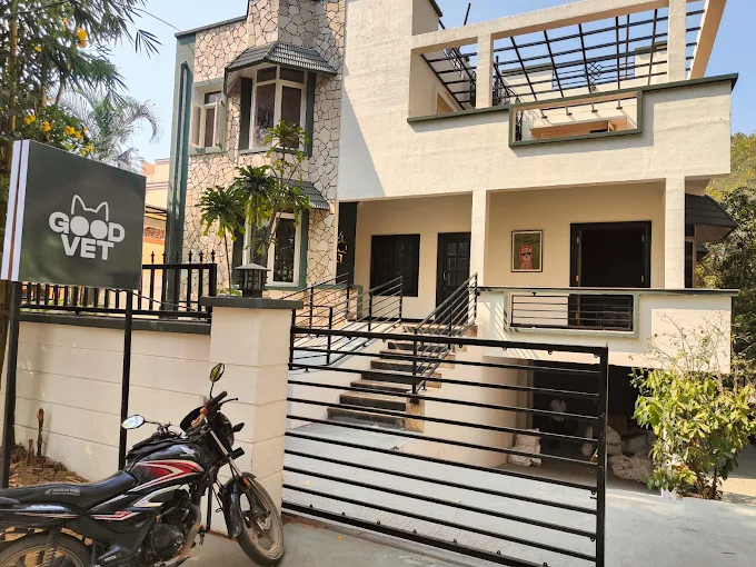 Good Vet Pet Hospital - Pet Clinic in Jubilee Hills, Hyderabad