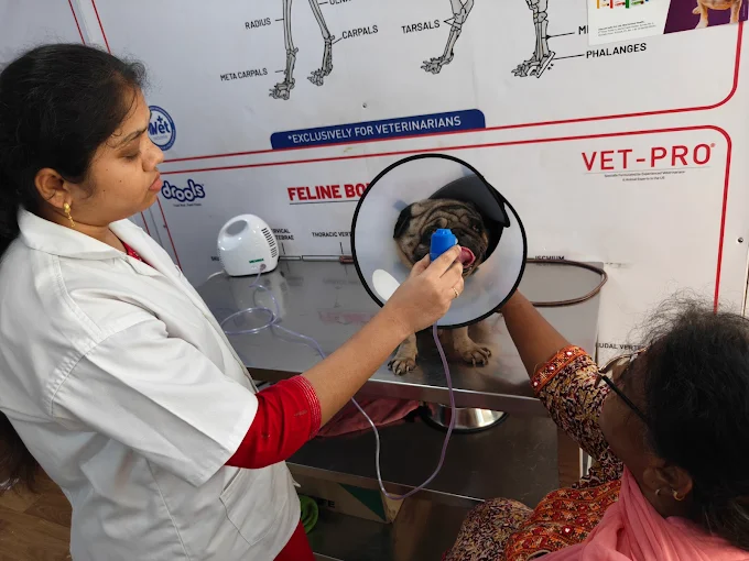 Anvi’s Pet Clinic Veterinary Clinic in Alwal, Hyderabad — Facility Photo 7
