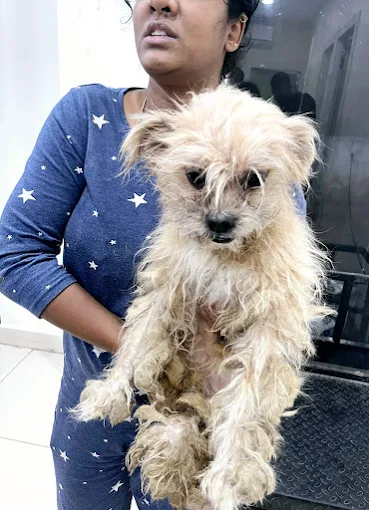 Madhuroha Pet Care Veterinary Clinic in Tirumalagiri, Hyderabad — Facility Photo 3