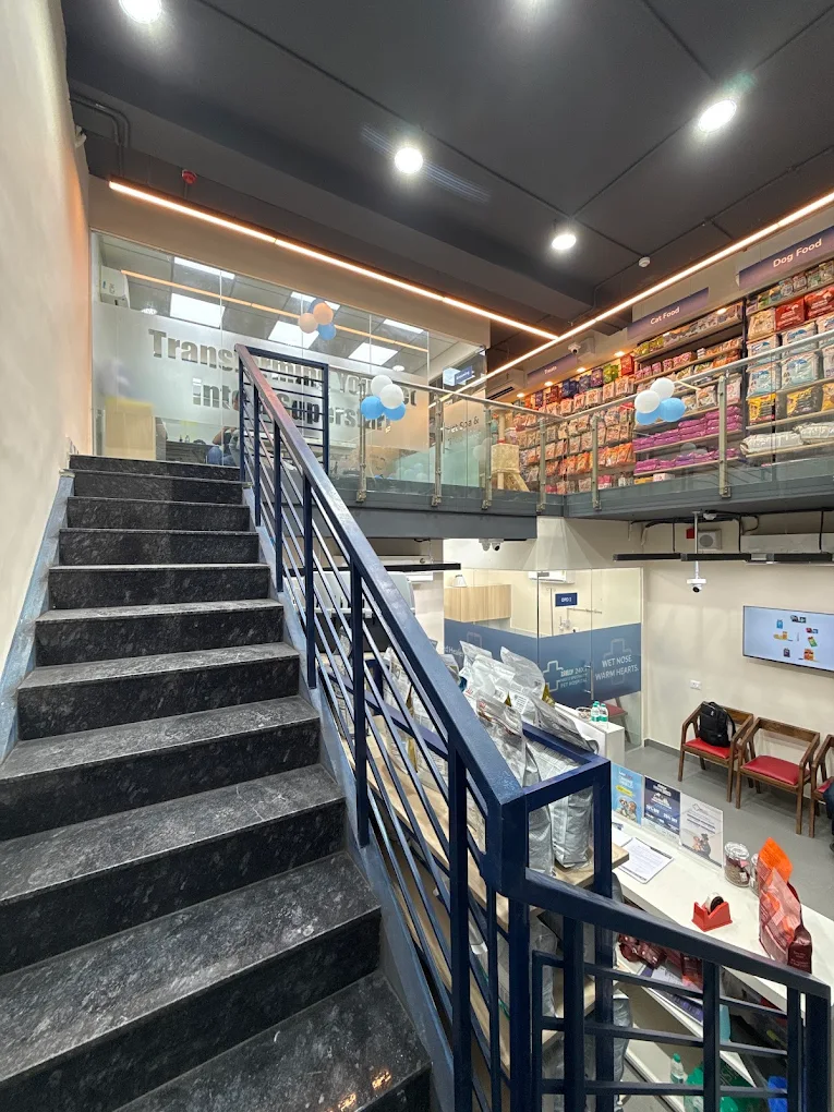 Zigly – Vet Clinic Banjara Hills Veterinary Clinic in Banjara Hills, Hyderabad — Facility Photo 3