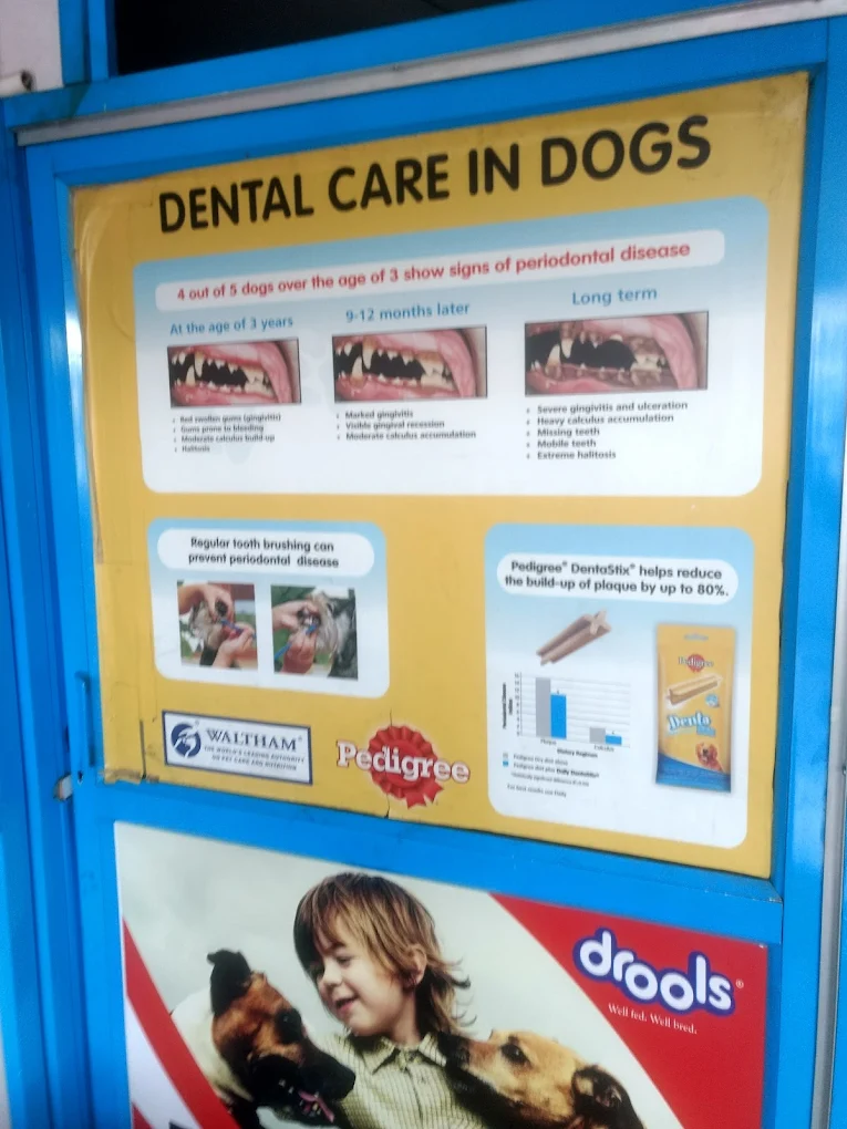 Dr Ramesh Dog The Pet Hospital, Tirumalagiri Veterinary Clinic in Tirumalagiri, Hyderabad — Facility Photo 2