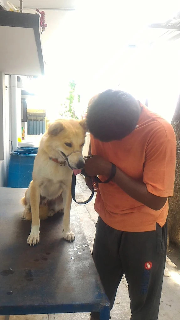 Habsiguda Pet Clinic Veterinary Clinic in Habsiguda, Hyderabad — Facility Photo 3