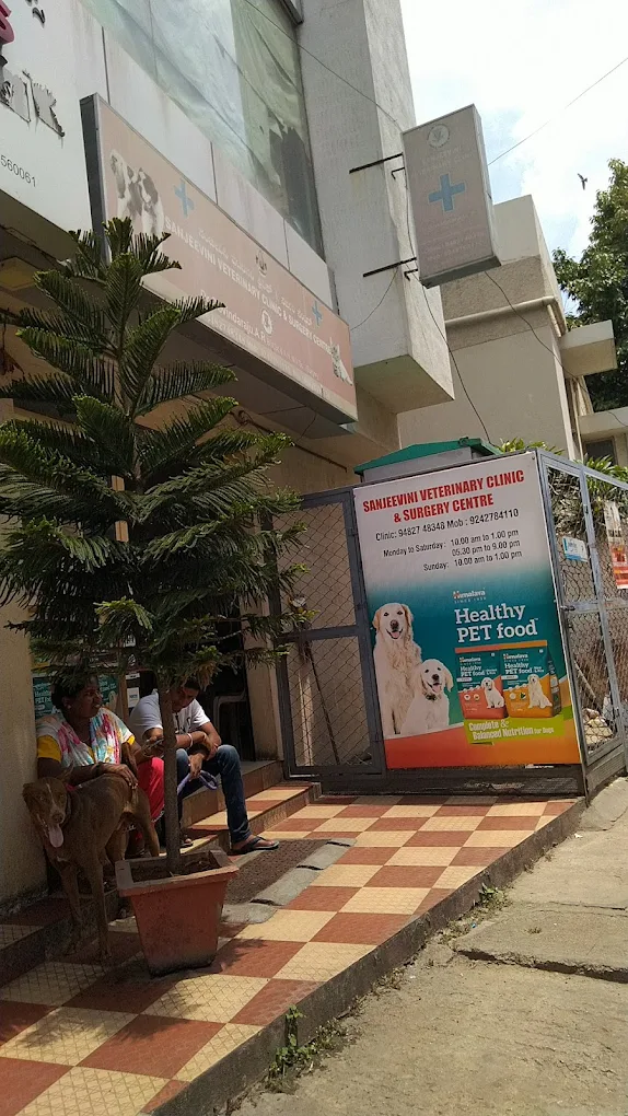Sanjeevini Veterinary Clinic & Surgery Centre Veterinary Clinic in Padmanabhanagar, Bengaluru — Facility Photo 3