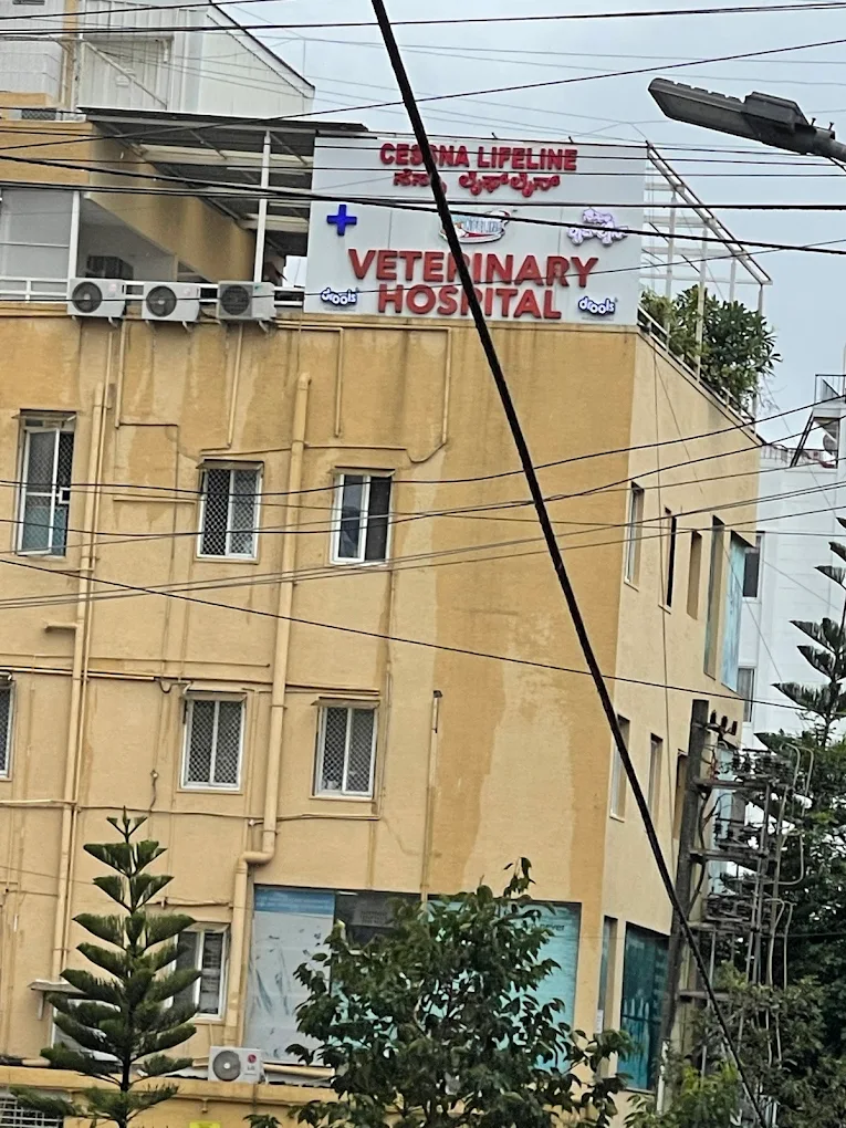 Cessna Lifeline Veterinary Hospital, Domlur - Pet Clinic in Domlur, Bengaluru