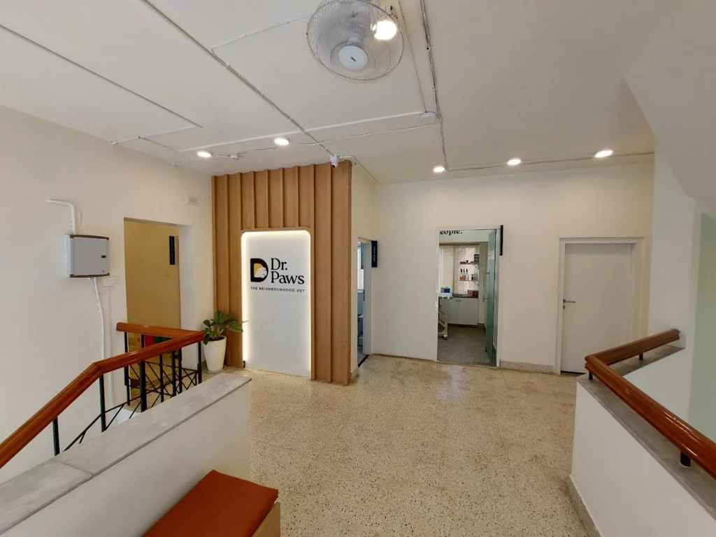 Dr. Paws Vet Clinic, Indiranagar – 24×7 Veterinary Clinic in Indiranagar, Bengaluru — Facility Photo 5