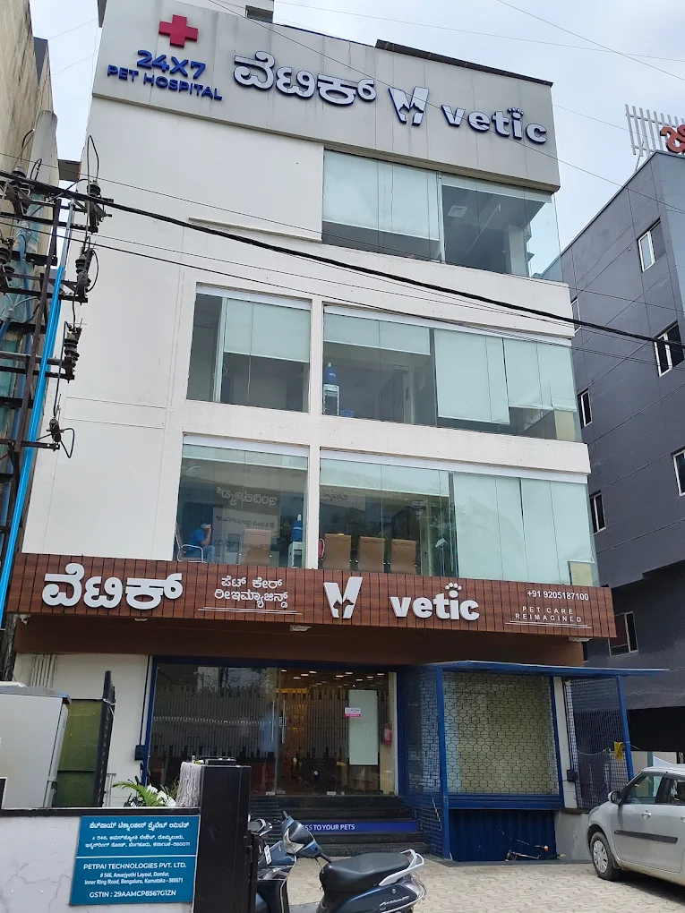 Vetic Pet Clinic, Domlur - Pet Clinic in Domlur, Bengaluru