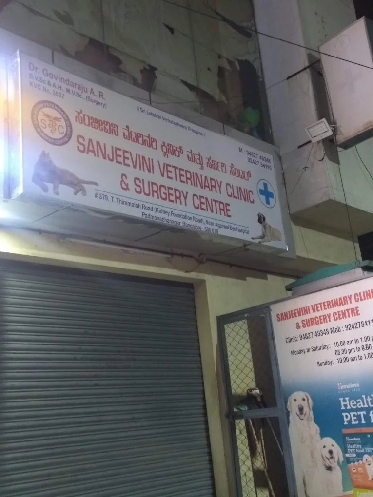 Sanjeevini Veterinary Clinic & Surgery Centre Veterinary Clinic in Padmanabhanagar, Bengaluru — Facility Photo 7