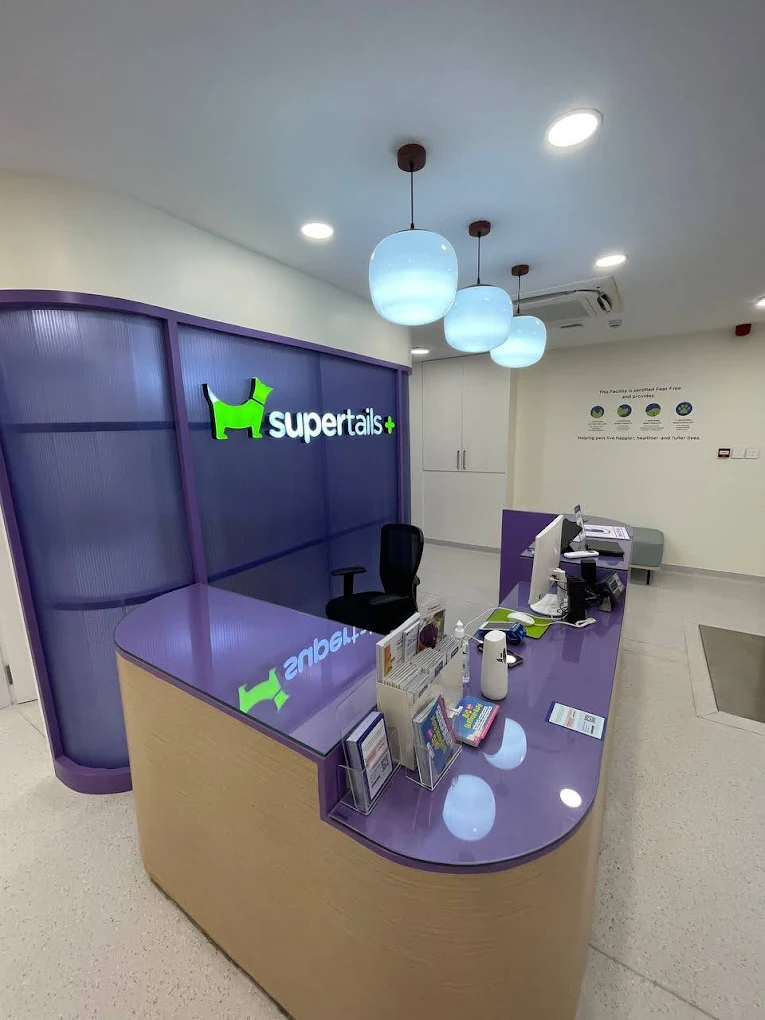 Supertails Pet Clinic, Banashankari Veterinary Clinic in Banashankari, Bengaluru — Facility Photo 9