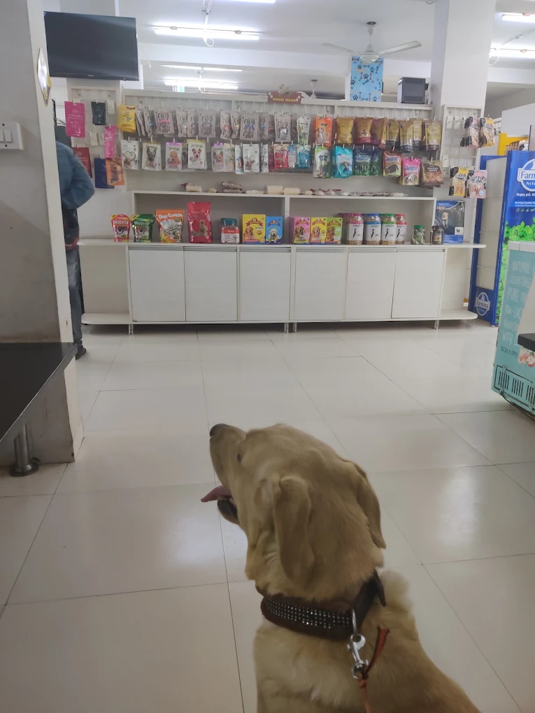 Cessna Lifeline Veterinary Hospital, Hosur Main Road Veterinary Clinic in Singasandra, Bengaluru — Facility Photo 5