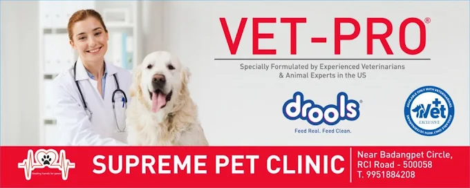 Supreme Pet Clinic, Badangpet Veterinary Clinic in Badangpet, Hyderabad — Facility Photo 3