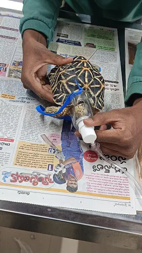 Omega’s Vet Hospital Veterinary Clinic in Toli Chowki, Hyderabad — Facility Photo 7