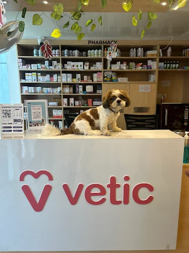 Vetic Pet Clinic HITEC City Veterinary Clinic in Madhapur, Hyderabad — Facility Photo 7