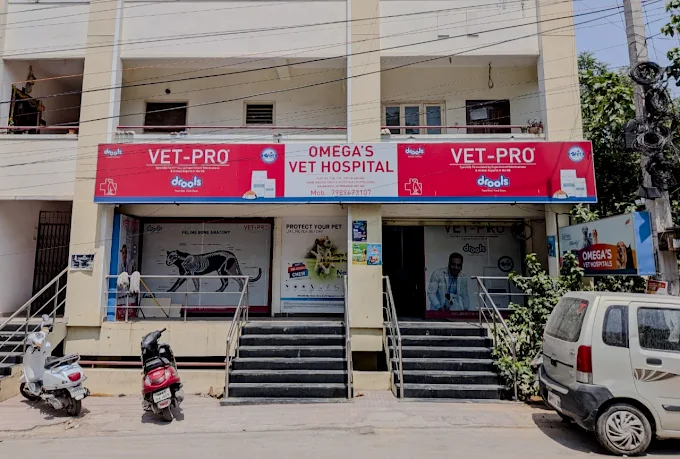 Omega's Vet Hospital - Pet Clinic in Toli Chowki, Hyderabad