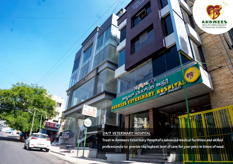 Annmees Veterinary Hospital - Pet Clinic in Naagarabhaavi, Bengaluru