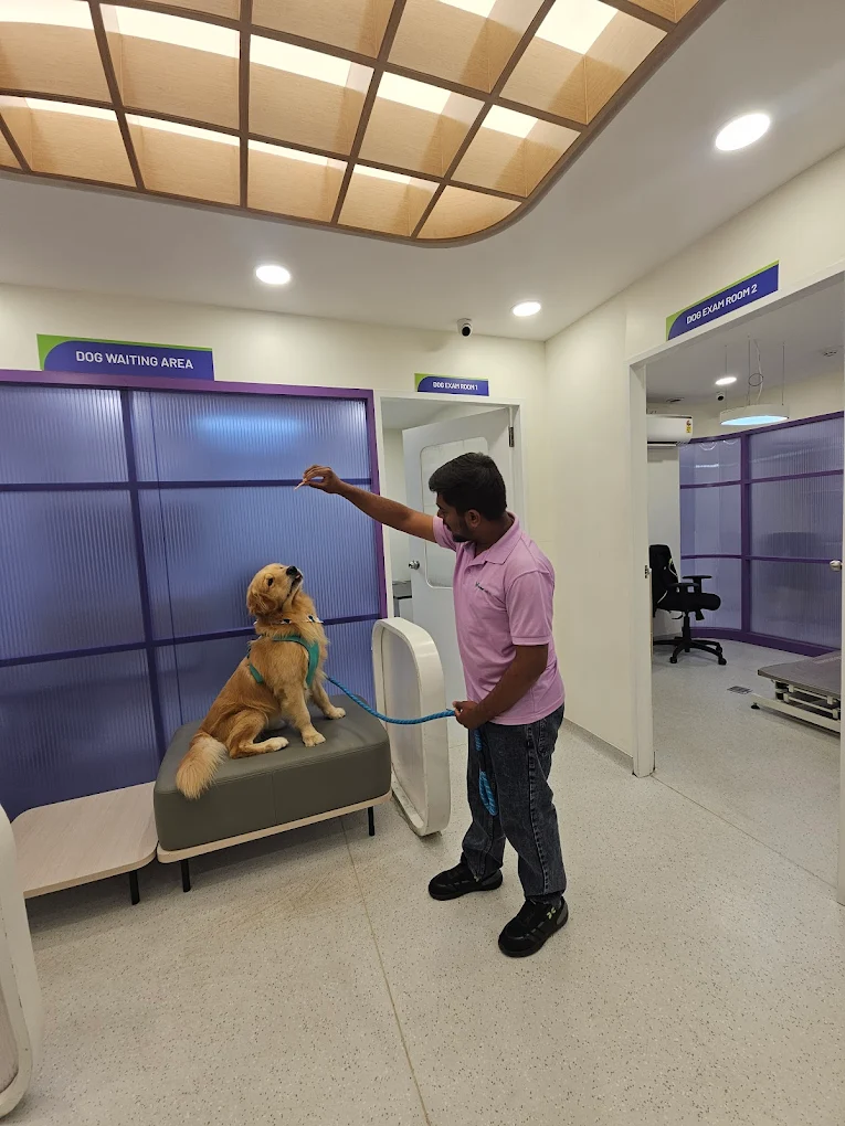 Supertails Pet Clinic, Banashankari Veterinary Clinic in Banashankari, Bengaluru — Facility Photo 7