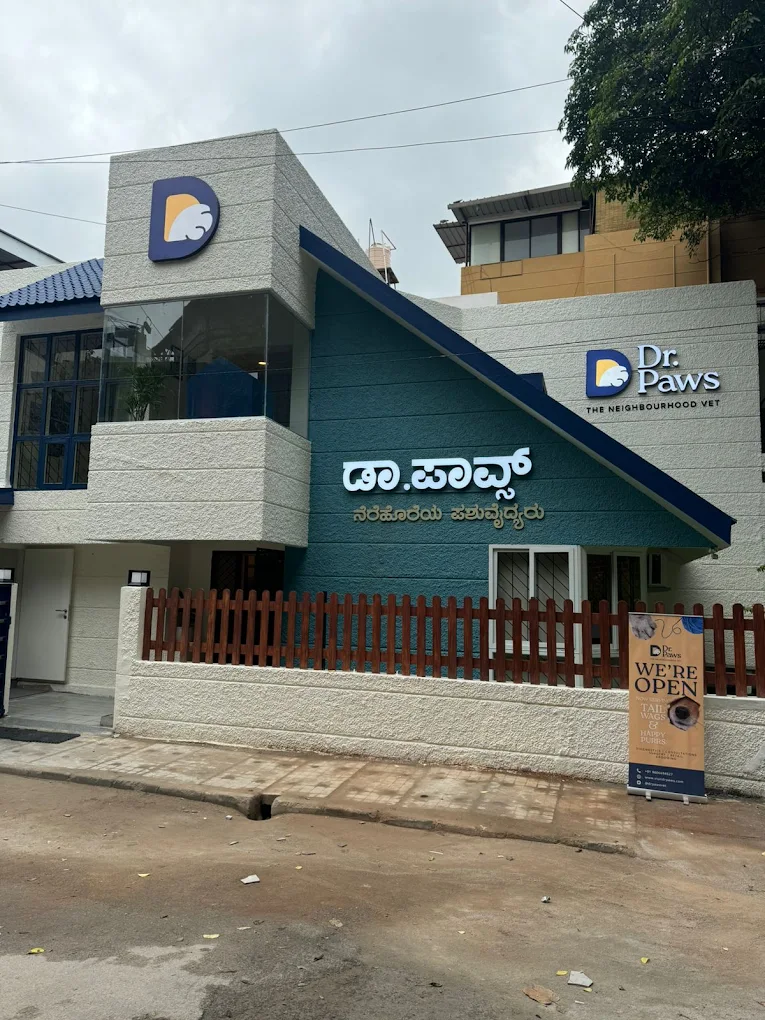 Dr. Paws Vet Clinic, Indiranagar – 24×7 Veterinary Clinic in Indiranagar, Bengaluru — Facility Photo 7