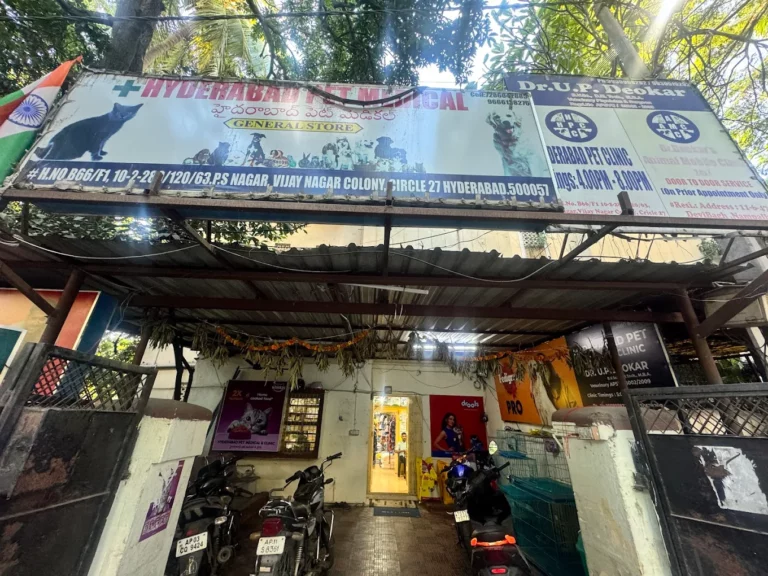 Hyderabad Pet Medical & Clinic - Pet Clinic in Masab Tank, Hyderabad