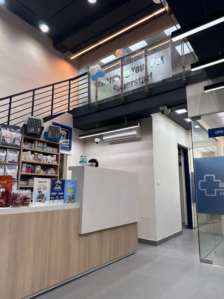 Zigly – Vet Clinic Banjara Hills Veterinary Clinic in Banjara Hills, Hyderabad — Facility Photo 7