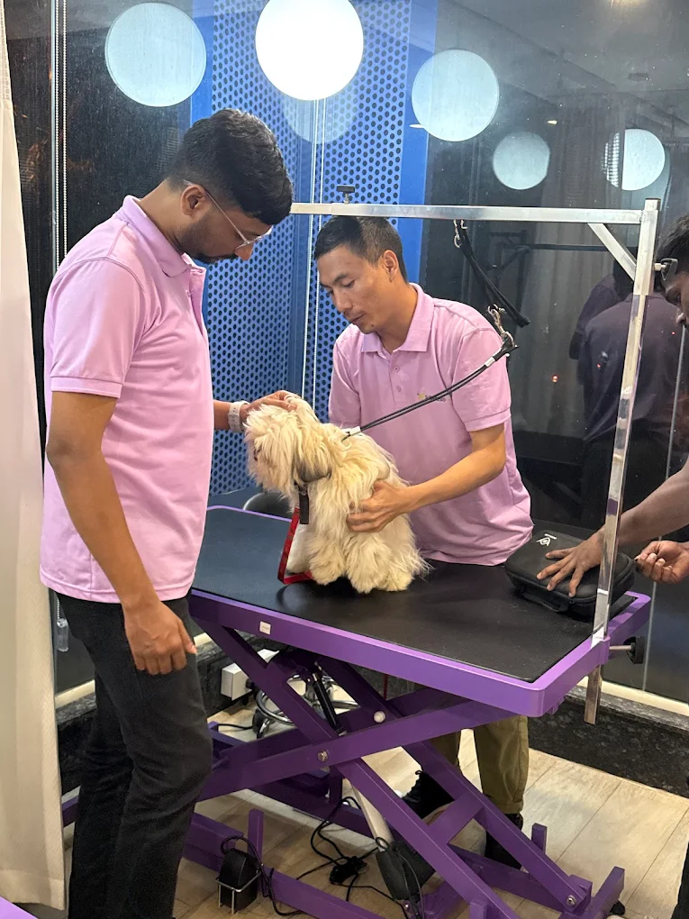 Supertails Pet Clinic, Banashankari Veterinary Clinic in Banashankari, Bengaluru — Facility Photo 8
