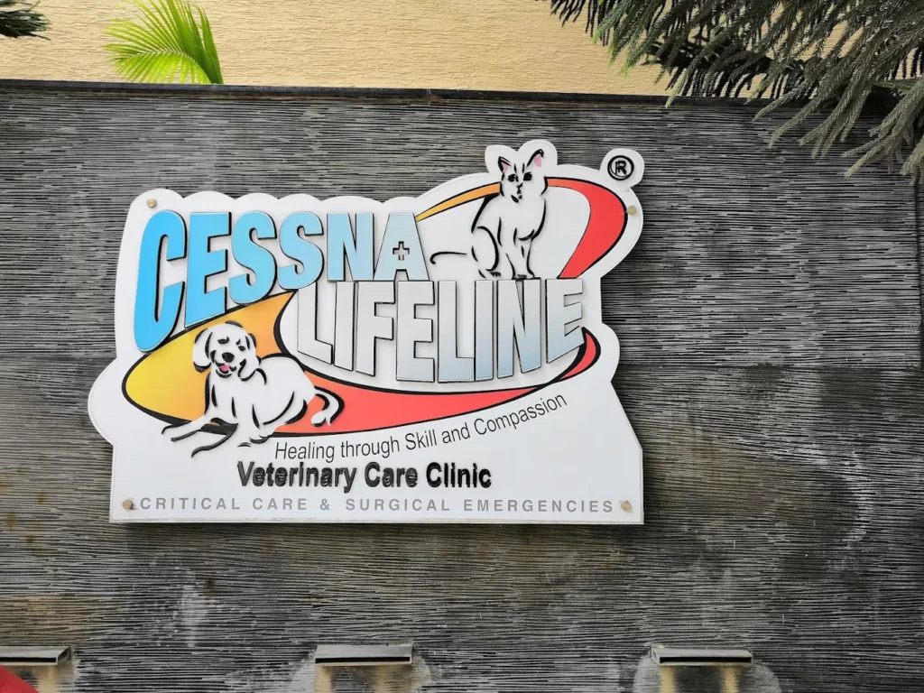 Cessna Lifeline Veterinary Hospital, Domlur Veterinary Clinic in Domlur, Bengaluru — Facility Photo 7