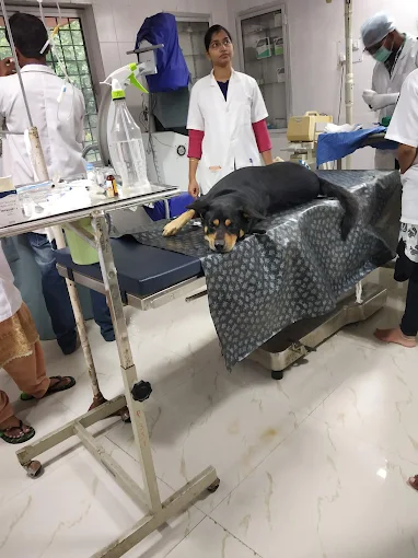 College Of Veterinary Science and Veterinary Hospital, Budwel Veterinary Clinic in Budwel, Hyderabad — Facility Photo 4