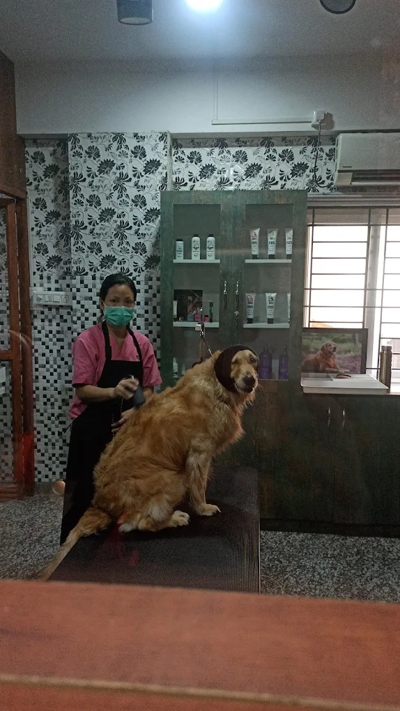 Annmees Veterinary Hospital Veterinary Clinic in Naagarabhaavi, Bengaluru — Facility Photo 5