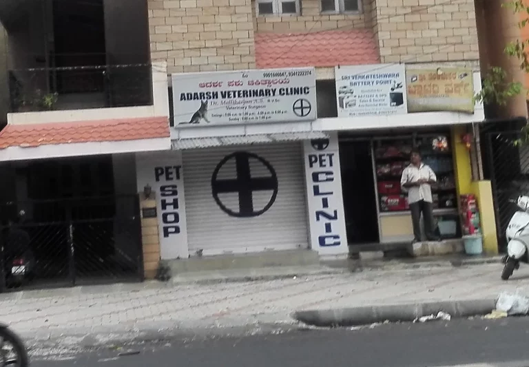 Adarsh veterinary Clinic - Pet Clinic in Jayanagar, Bengaluru