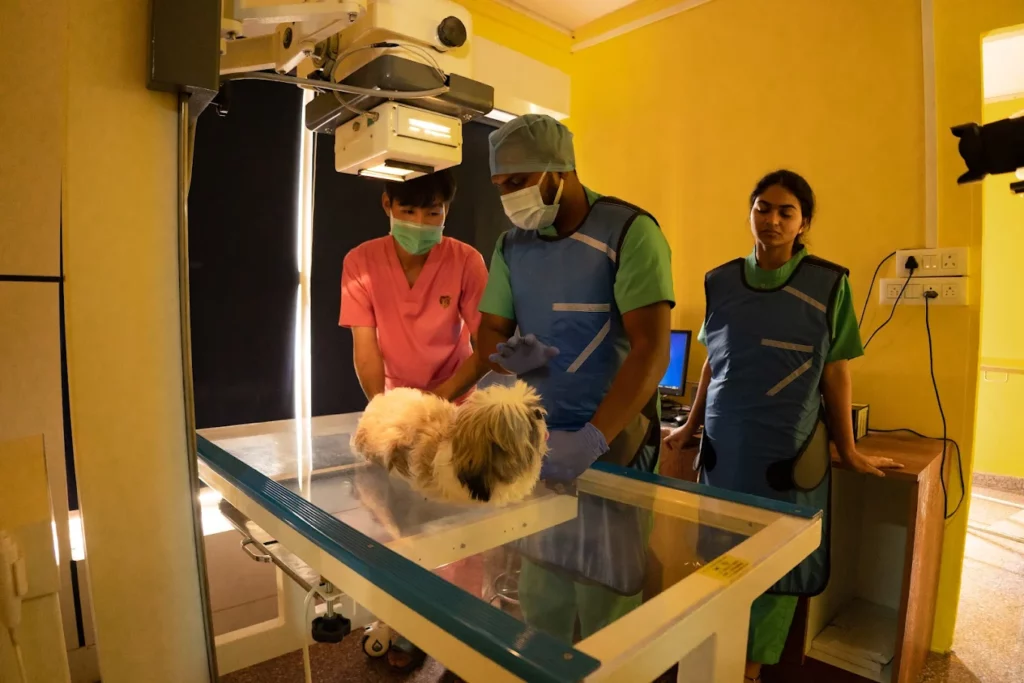 Annmees Veterinary Hospital Veterinary Clinic in Naagarabhaavi, Bengaluru — Facility Photo 6