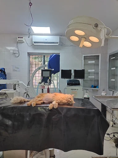 College Of Veterinary Science and Veterinary Hospital, Budwel Veterinary Clinic in Budwel, Hyderabad — Facility Photo 5